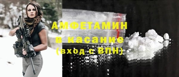 шишки Арсеньев
