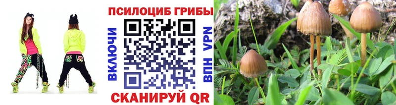 как найти наркотики  МЕГА ССЫЛКА  Псилоцибиновые грибы GOLDEN TEACHER  Выкса 